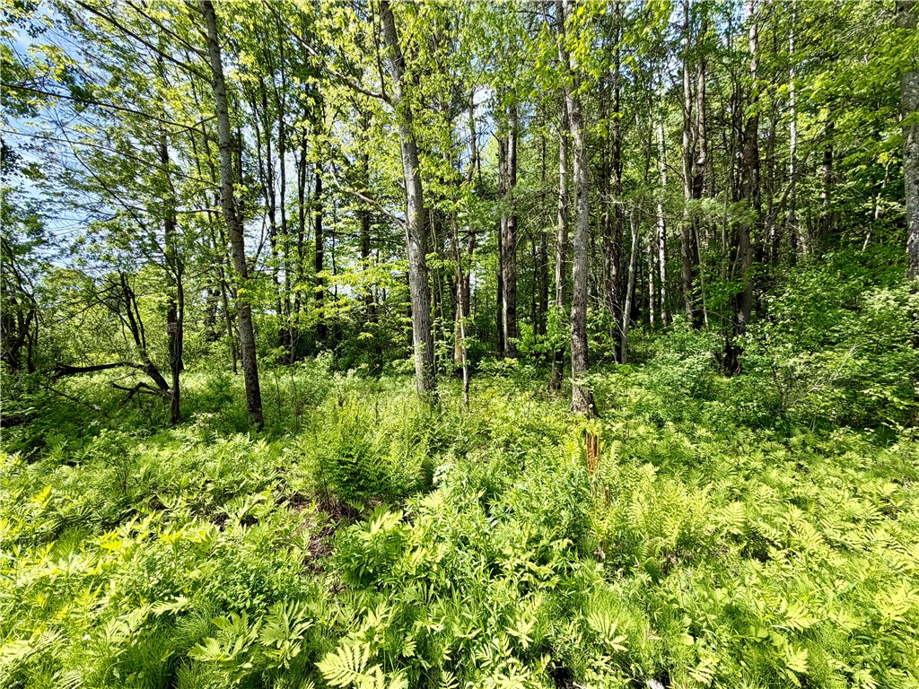 0 Maples Road Milford, NY 13807 - Photo 2 of 9