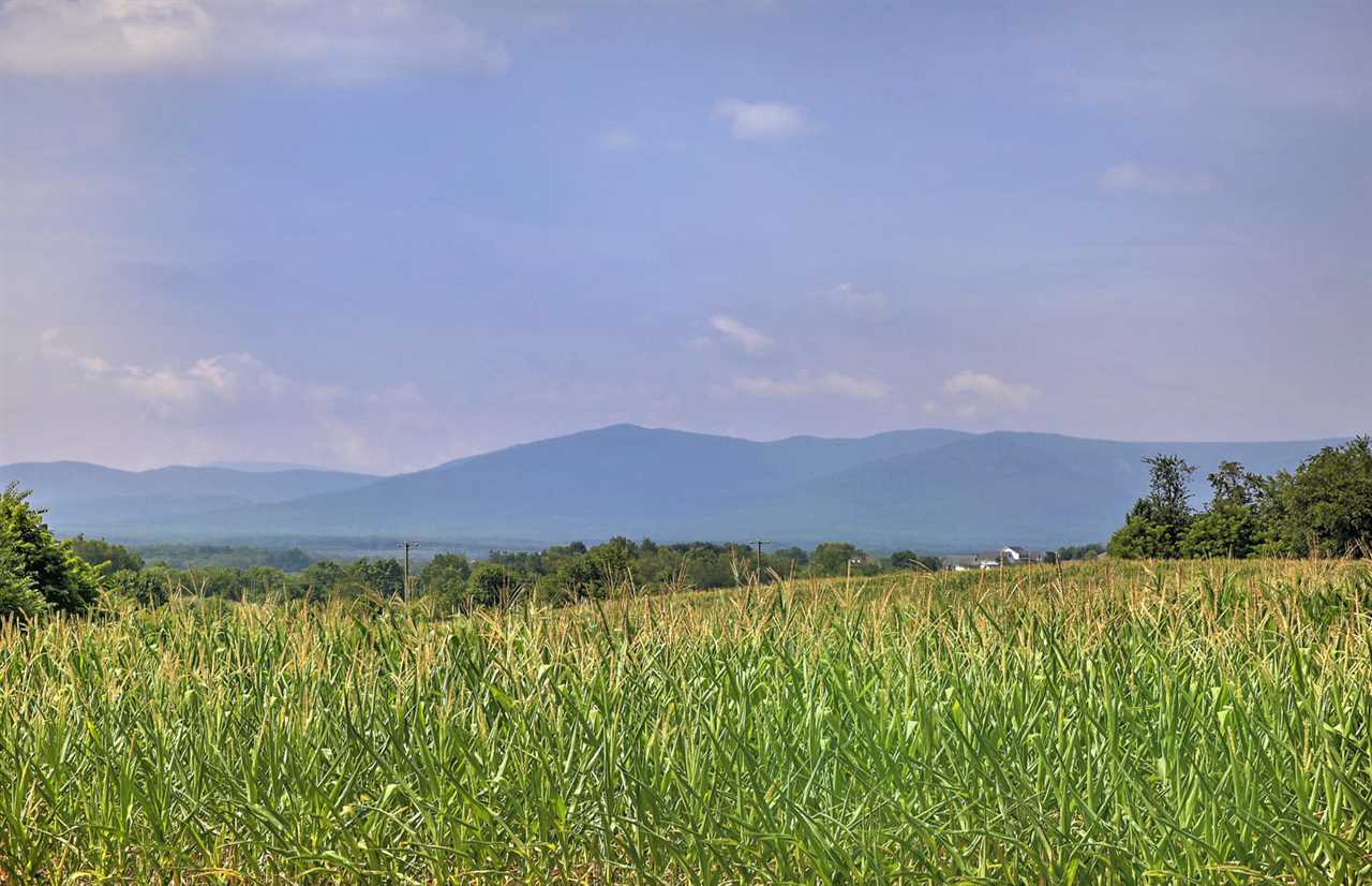 1050 Ladd Road Waynesboro, VA 22980 - Photo 2 of 33 a view of a lush green field and mountains in the background