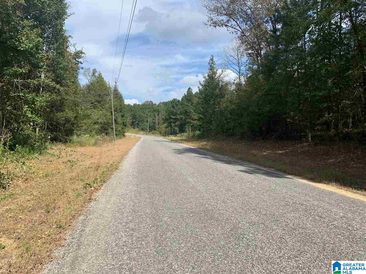 0 Embry Bend Road, Unit 1 Lincoln, AL 35096 - Photo 8 of 15