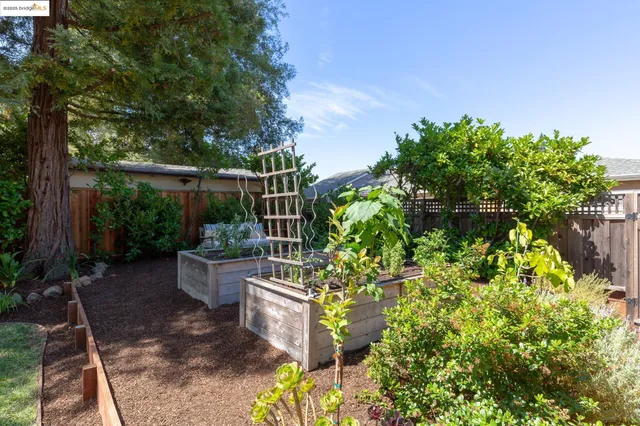 $1,898,000 | 155 Arbor Drive, Piedmont, CA 94610