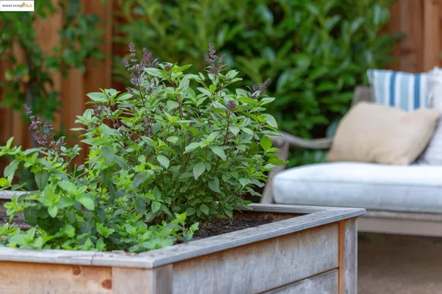 $1,898,000 | 155 Arbor Drive, Piedmont, CA 94610