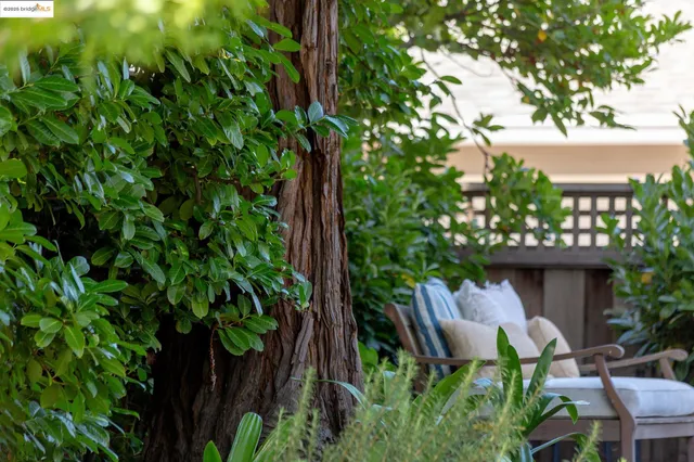 $1,898,000 | 155 Arbor Drive, Piedmont, CA 94610