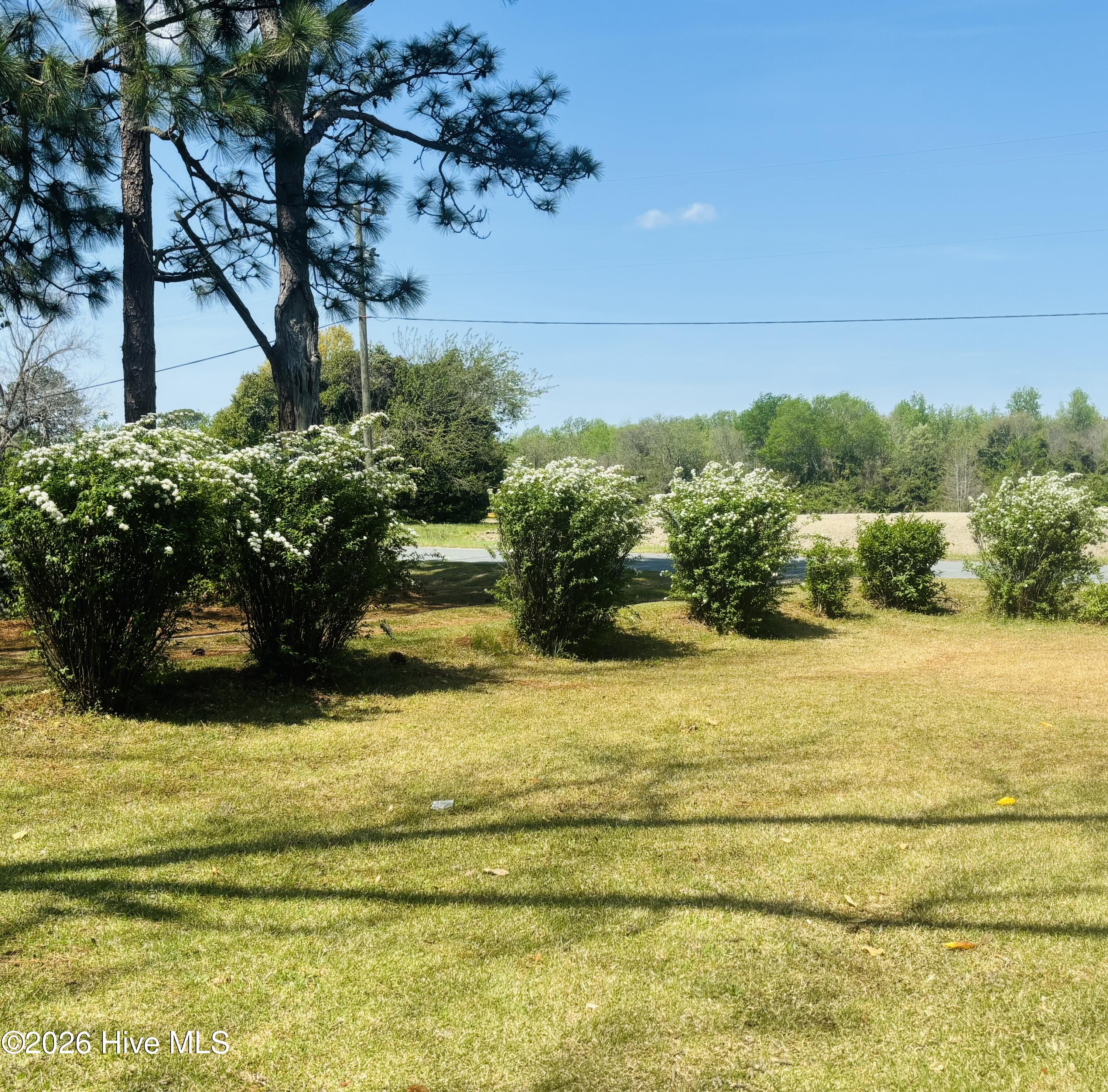 1011 Raleigh Road Clinton, NC 28328 - Photo 16 of 17 side yard