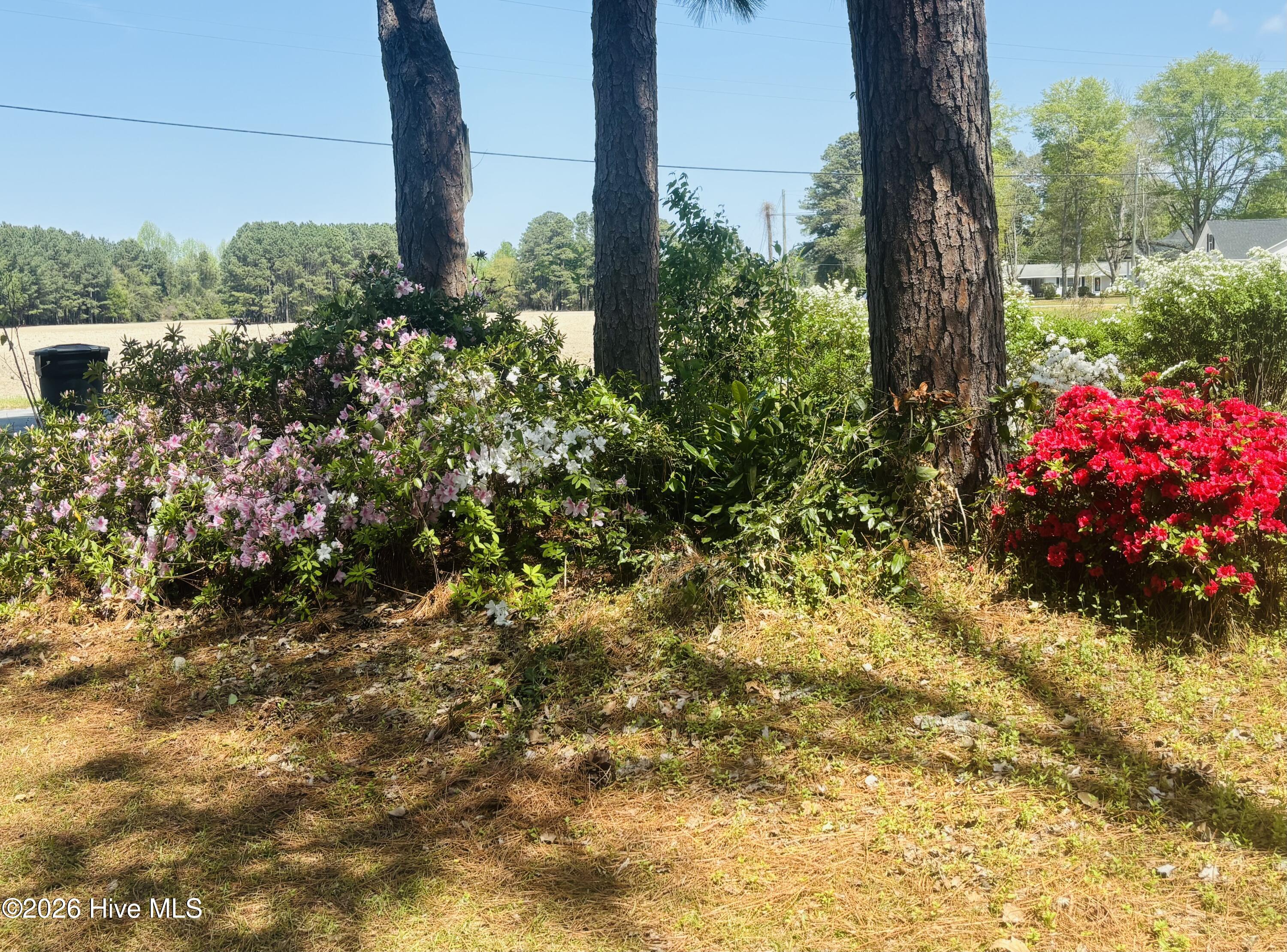 1011 Raleigh Road Clinton, NC 28328 - Photo 17 of 17 side yard