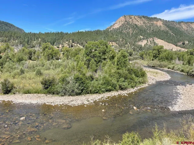a view of a forest with mountains in the background