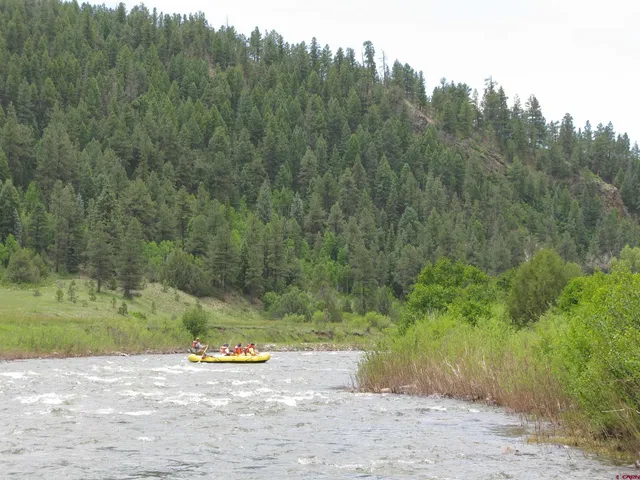a view of a road with a yard