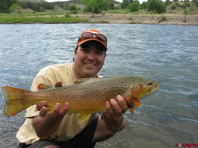 a view of swimming pool from a yard
