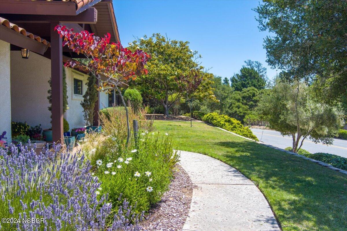 628 St Andrews Way Lompoc, CA 93436 - Photo 2 of 36 a view of a flower arrangement in backyard