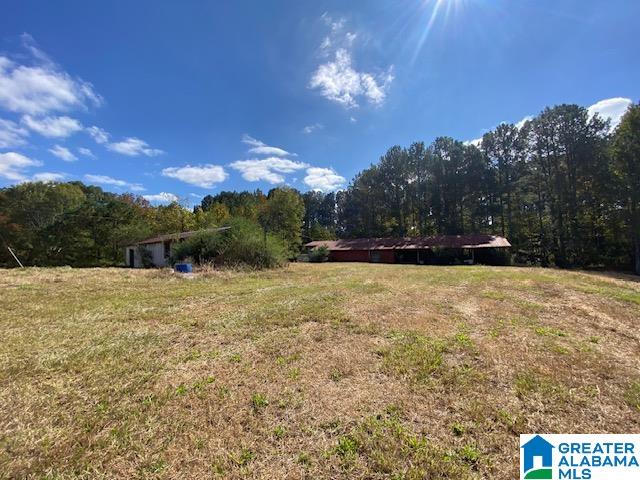404 Kornegay Road Oneonta, AL 35121 - Photo 42 of 44