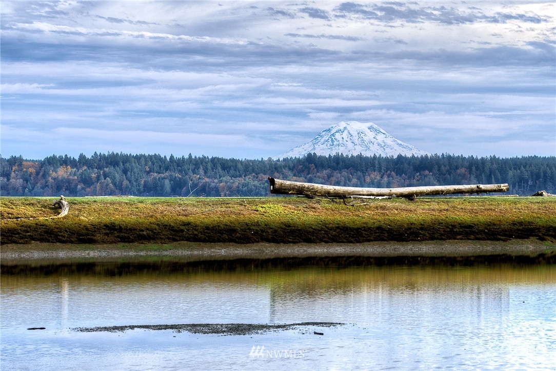 688 East Portage Road Shelton, WA 98584 - Photo 17 of 21 Gallery Image 17