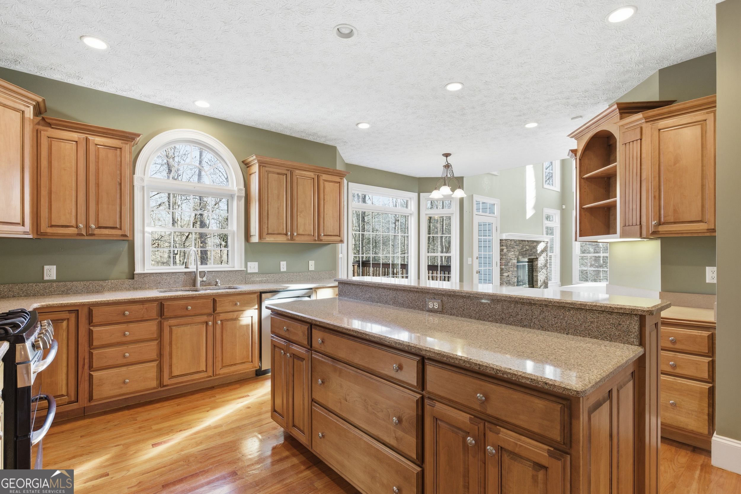 180 Springbrook Drive Cornelia, GA 30531 - Photo 14 of 50 a large kitchen with stainless steel appliances granite countertop a sink and cabinets