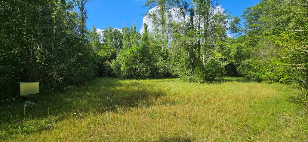 0 Case Road Slocomb, AL 36375 - Photo 9 of 18