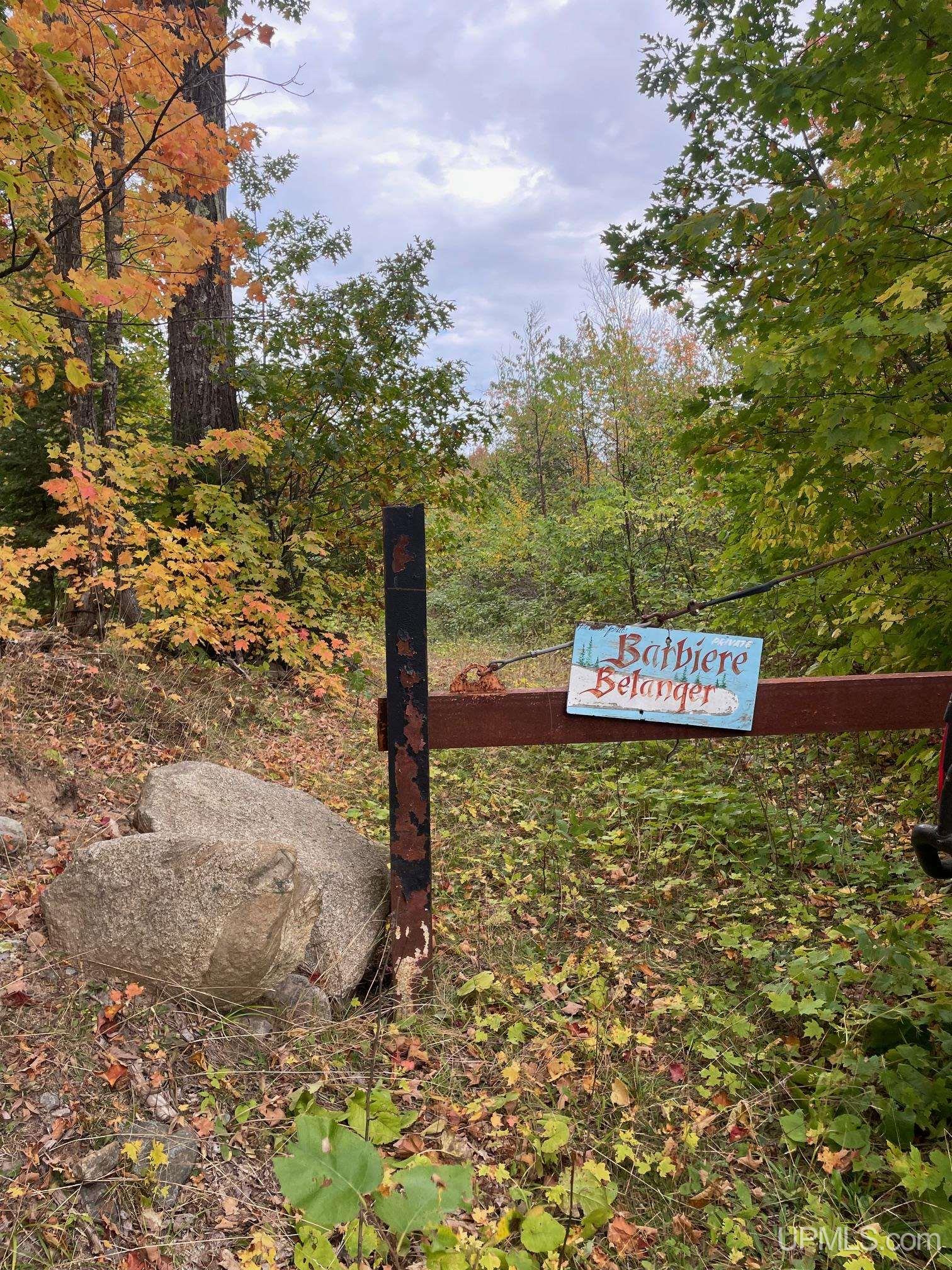 Tbd Gold Mine Lake Road Ishpeming, MI 49849 - Photo 6 of 10