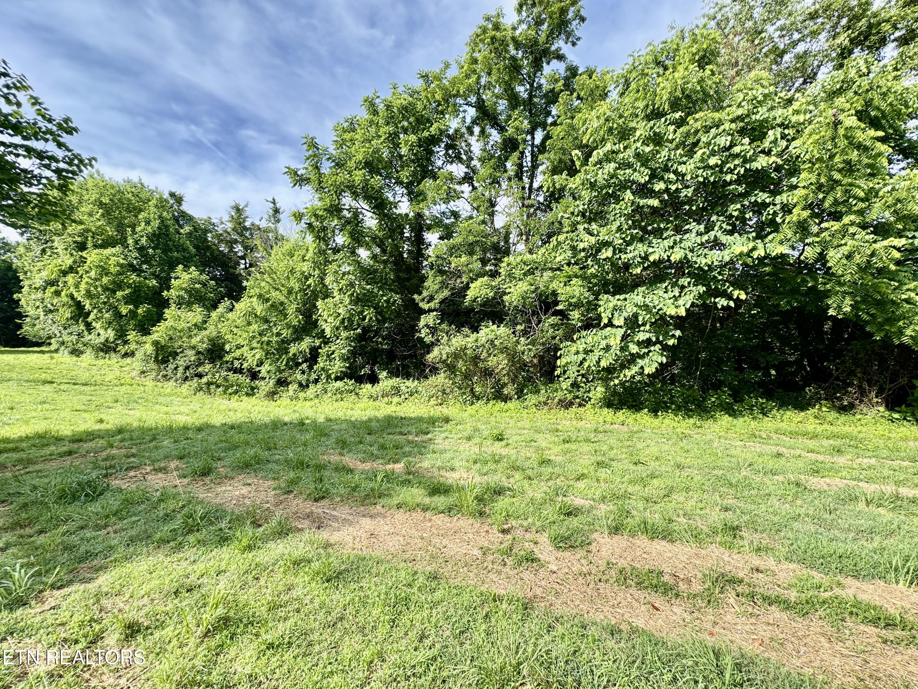 529 Peanut Road Parrottsville, TN 37843 - Photo 22 of 54 1-22