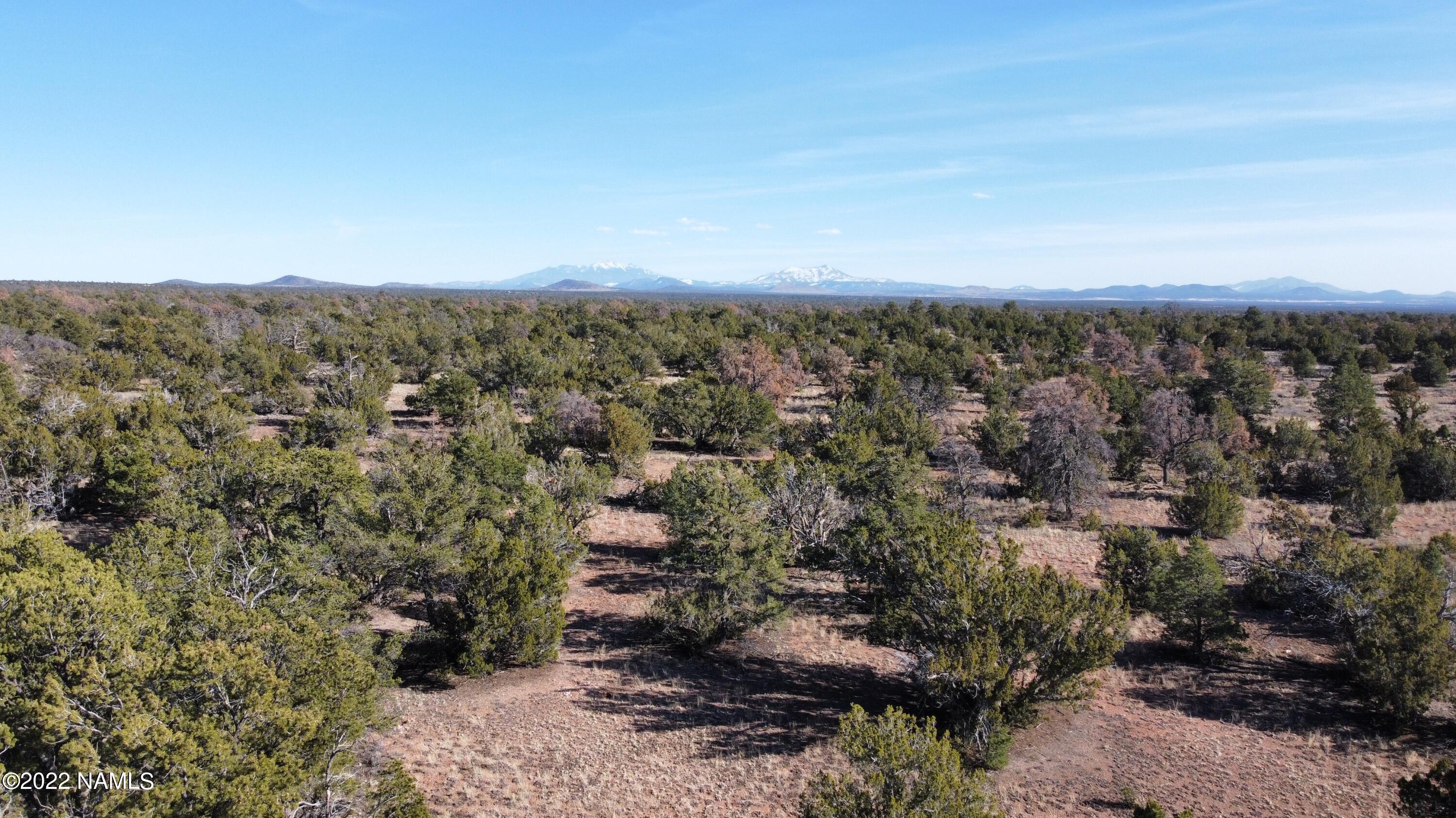 4633 Hidden Ranch Road Williams, AZ 86046 - Photo 11 of 39 4633 N Hidden Ranch Rd Photo 12