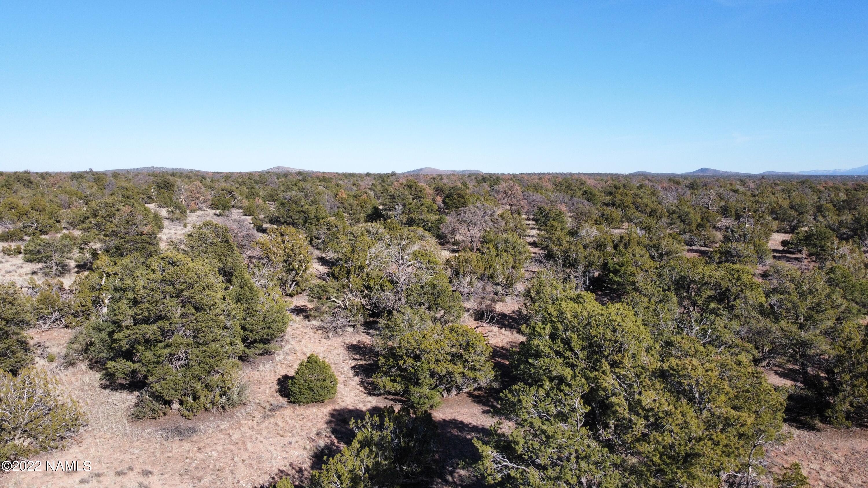 4633 Hidden Ranch Road Williams, AZ 86046 - Photo 12 of 39 4633 N Hidden Ranch Rd Photo 13