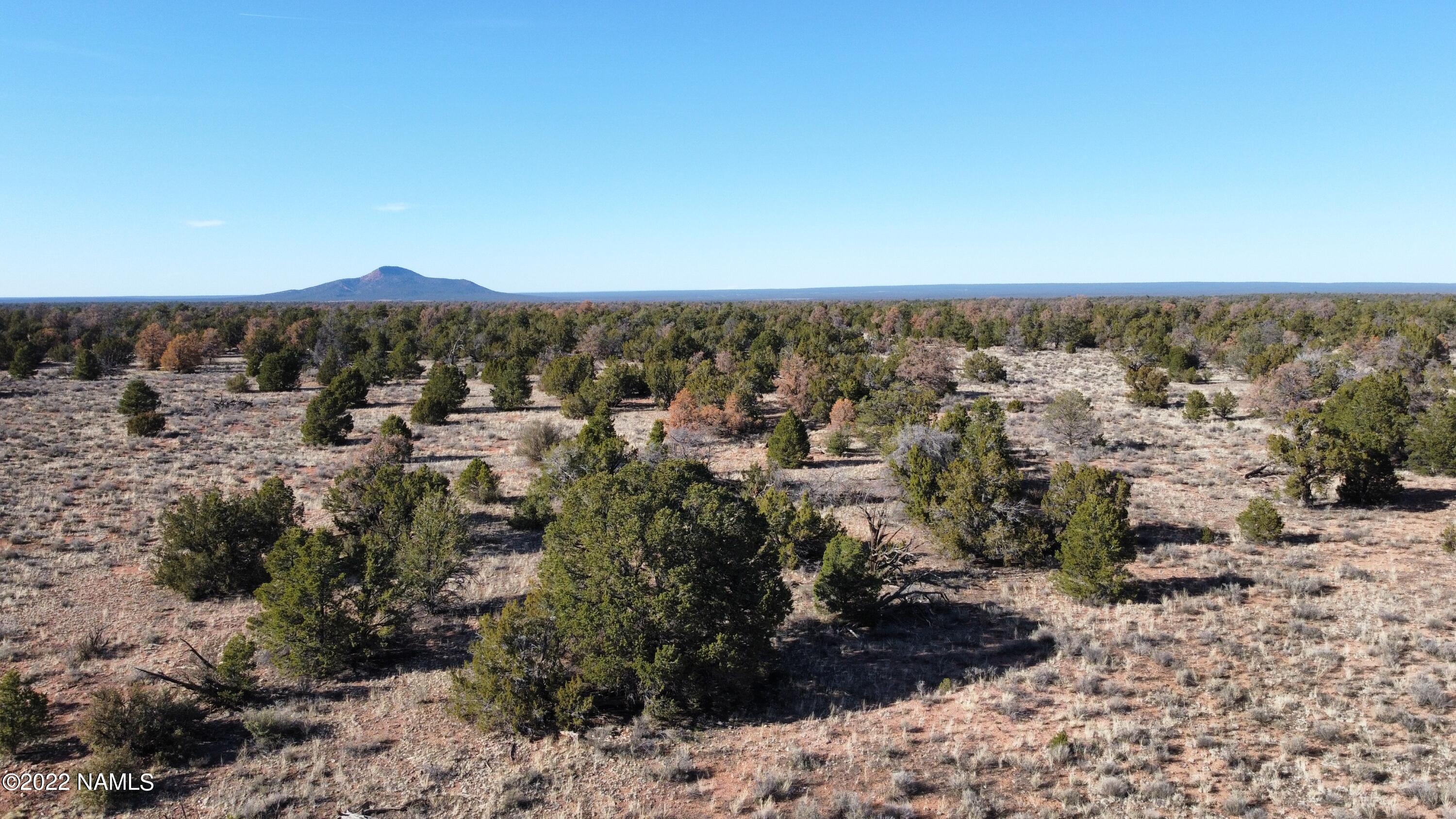 4633 Hidden Ranch Road Williams, AZ 86046 - Photo 13 of 39 4633 N Hidden Ranch Rd Photo 14