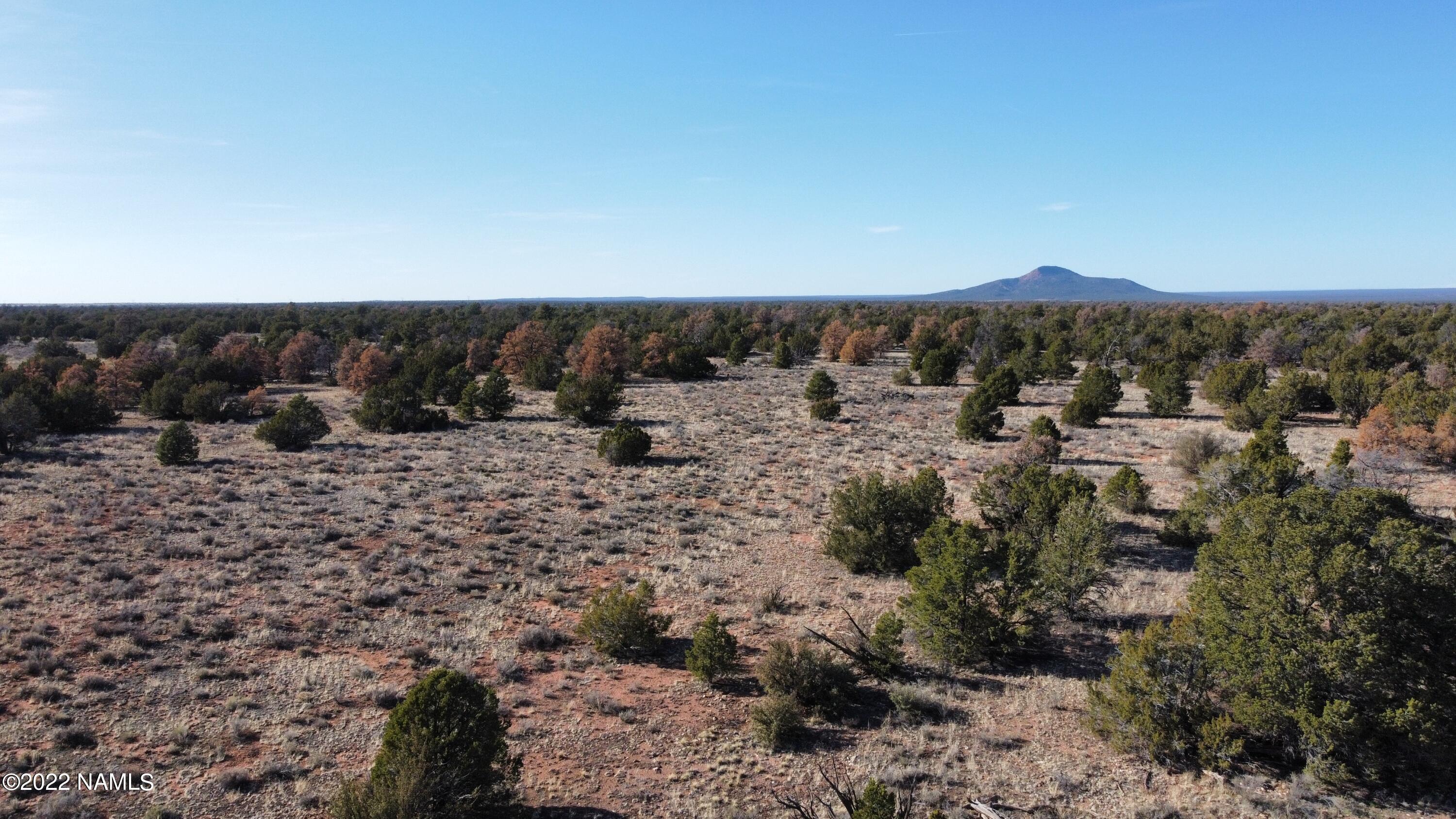 4633 Hidden Ranch Road Williams, AZ 86046 - Photo 14 of 39 4633 N Hidden Ranch Rd Photo 15