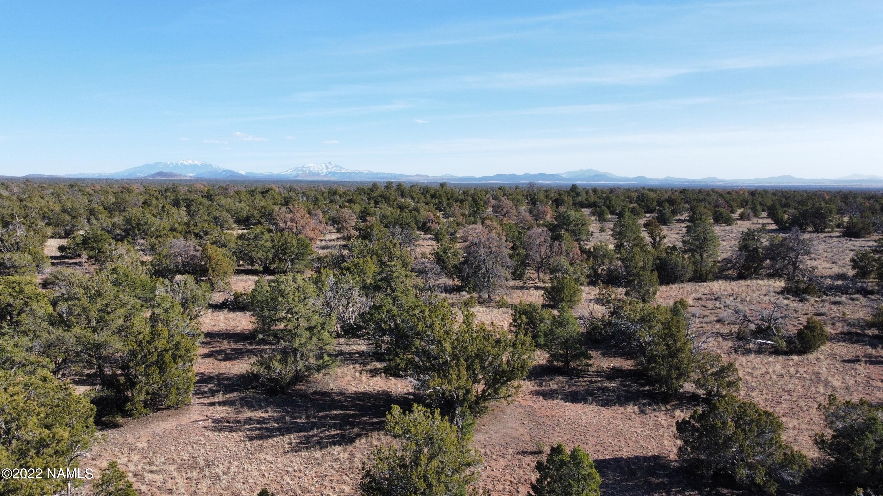 4633 Hidden Ranch Road Williams, AZ 86046 - Photo 15 of 39 4633 N Hidden Ranch Rd Photo 16