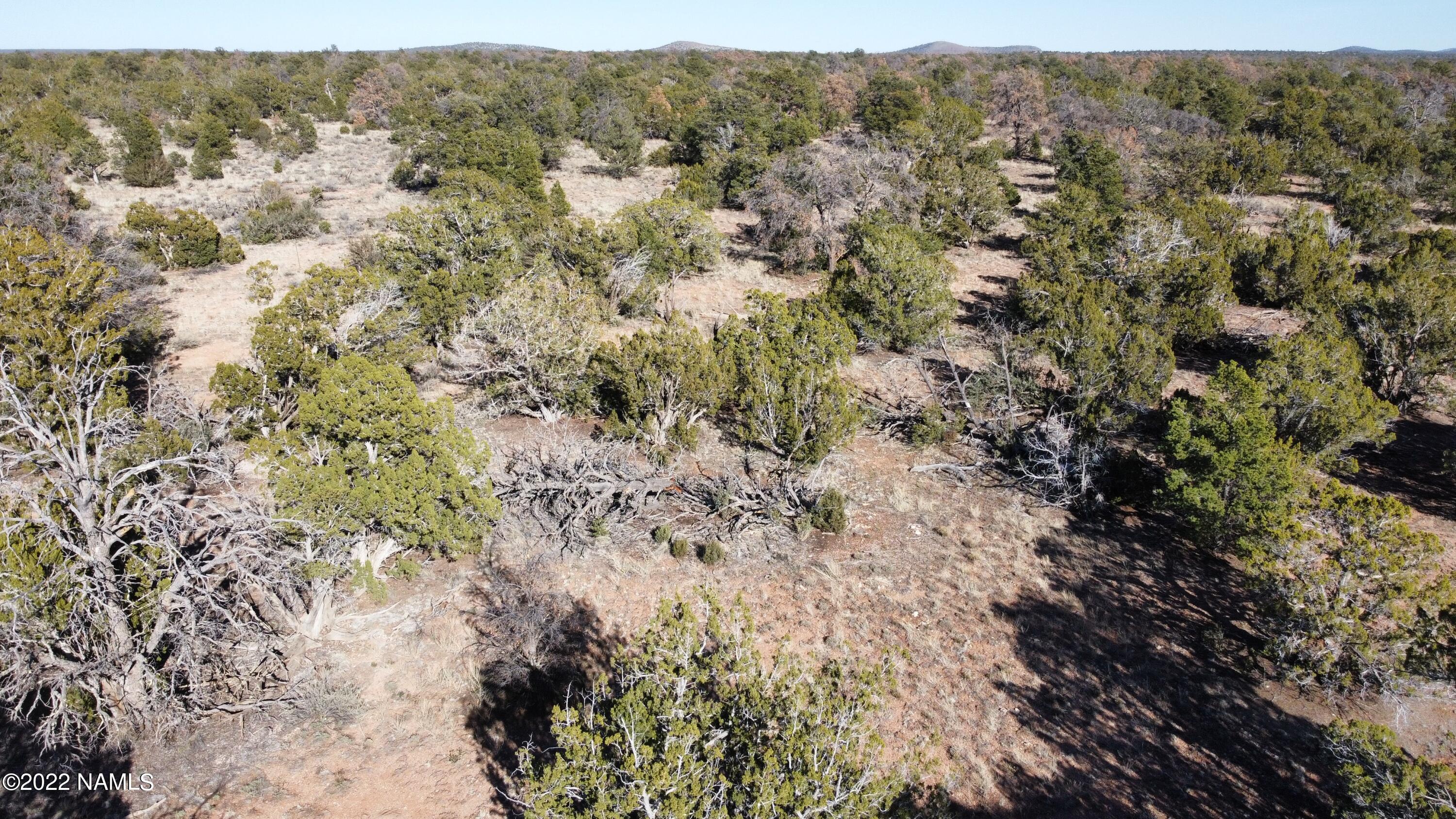 4633 Hidden Ranch Road Williams, AZ 86046 - Photo 16 of 39 4633 N Hidden Ranch Rd Photo 17