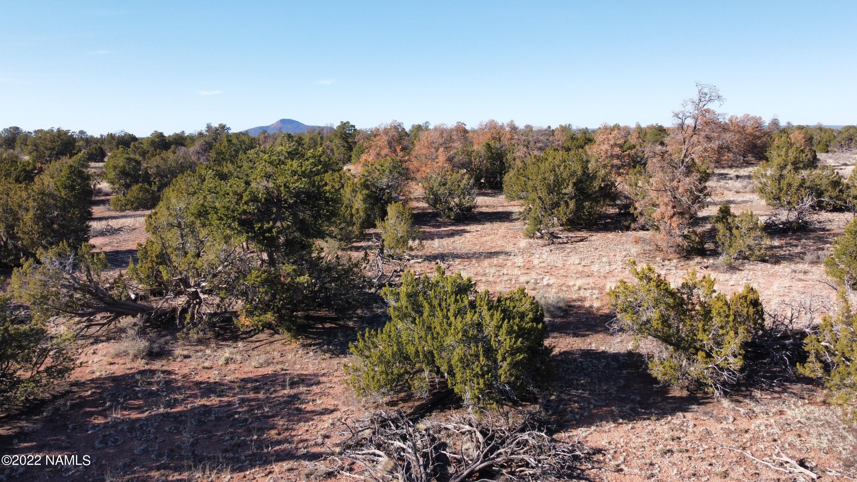 4633 Hidden Ranch Road Williams, AZ 86046 - Photo 18 of 39 4633 N Hidden Ranch Rd Photo 21