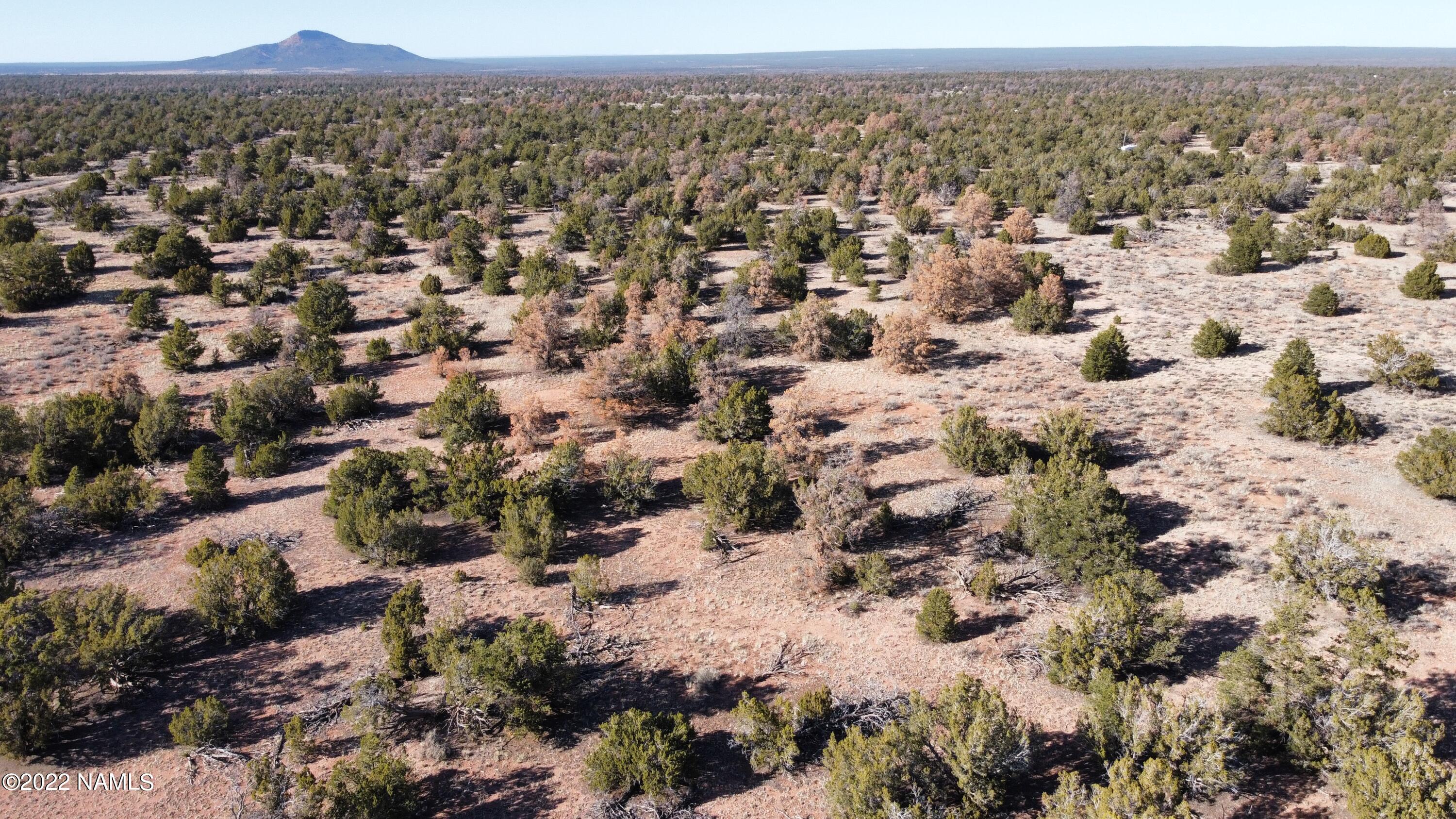 4633 Hidden Ranch Road Williams, AZ 86046 - Photo 2 of 39 4633 N Hidden Ranch Rd Photo 1