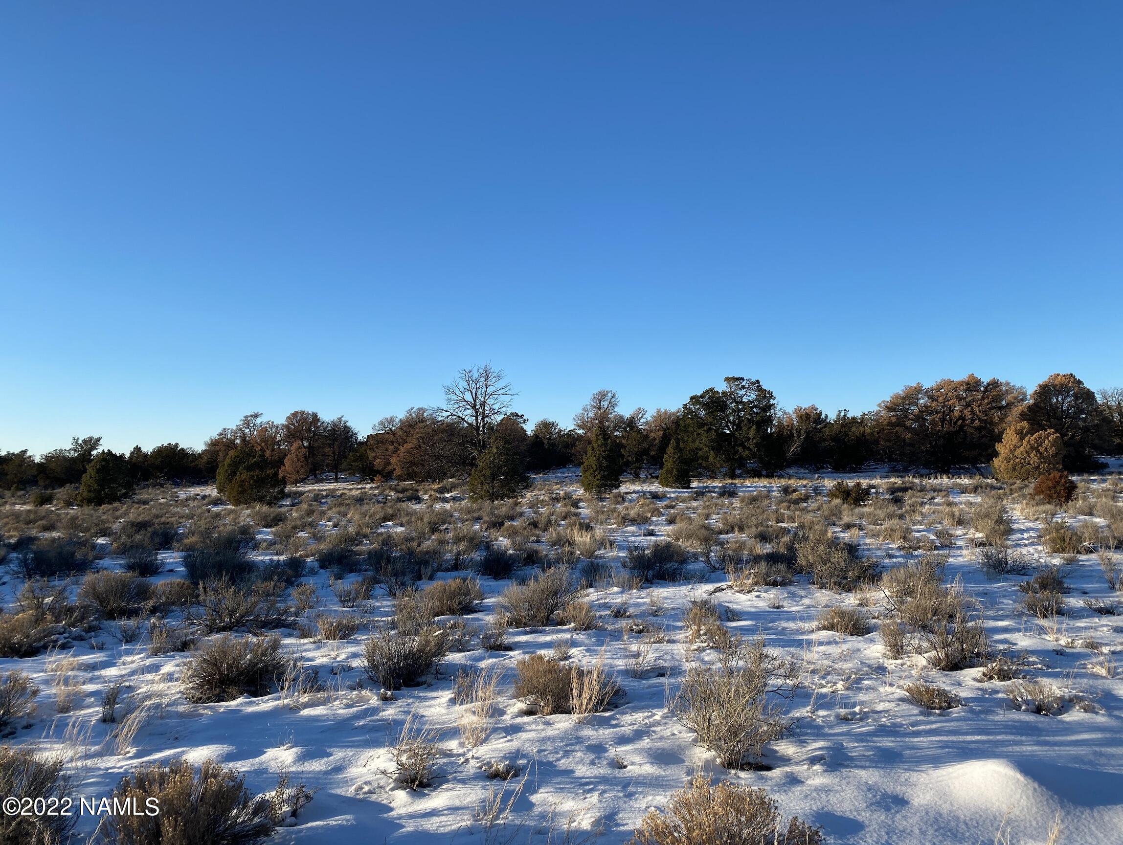 4633 Hidden Ranch Road Williams, AZ 86046 - Photo 24 of 39 4633 N Hidden Ranch Rd Photo 26