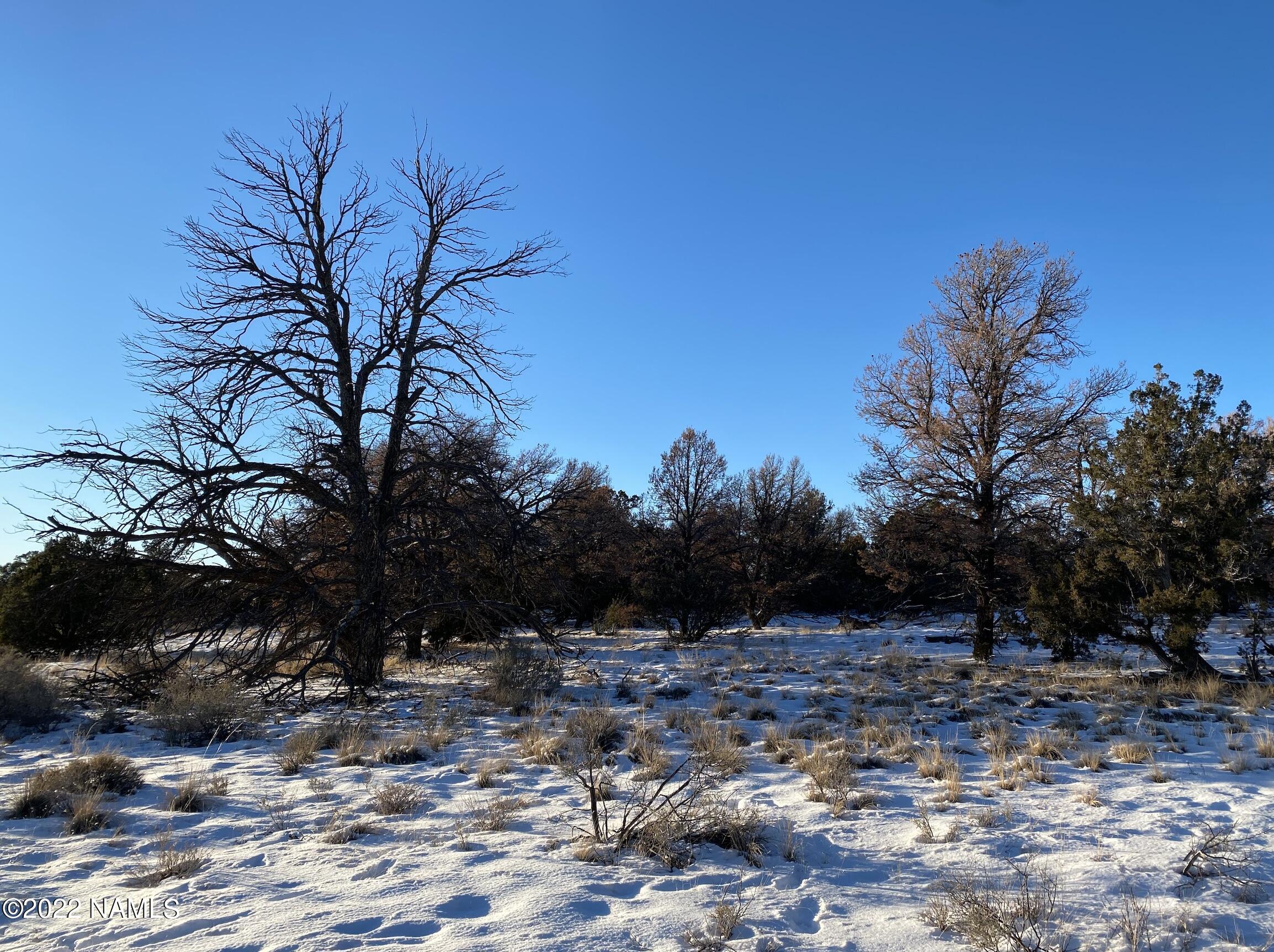 4633 Hidden Ranch Road Williams, AZ 86046 - Photo 26 of 39 4633 N Hidden Ranch Rd Photo 28