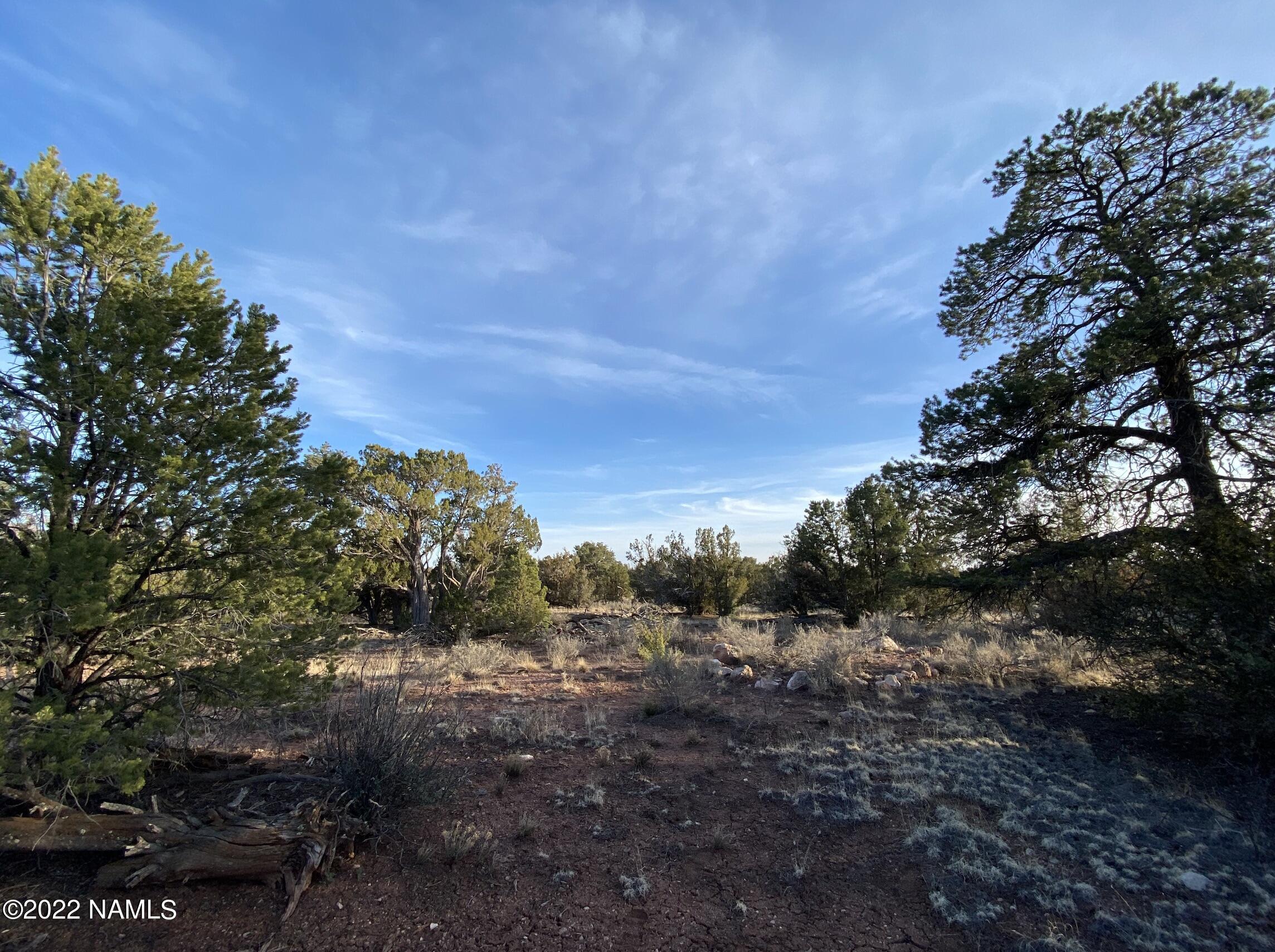 4633 Hidden Ranch Road Williams, AZ 86046 - Photo 28 of 39 4633 N Hidden Ranch Rd Photo 30