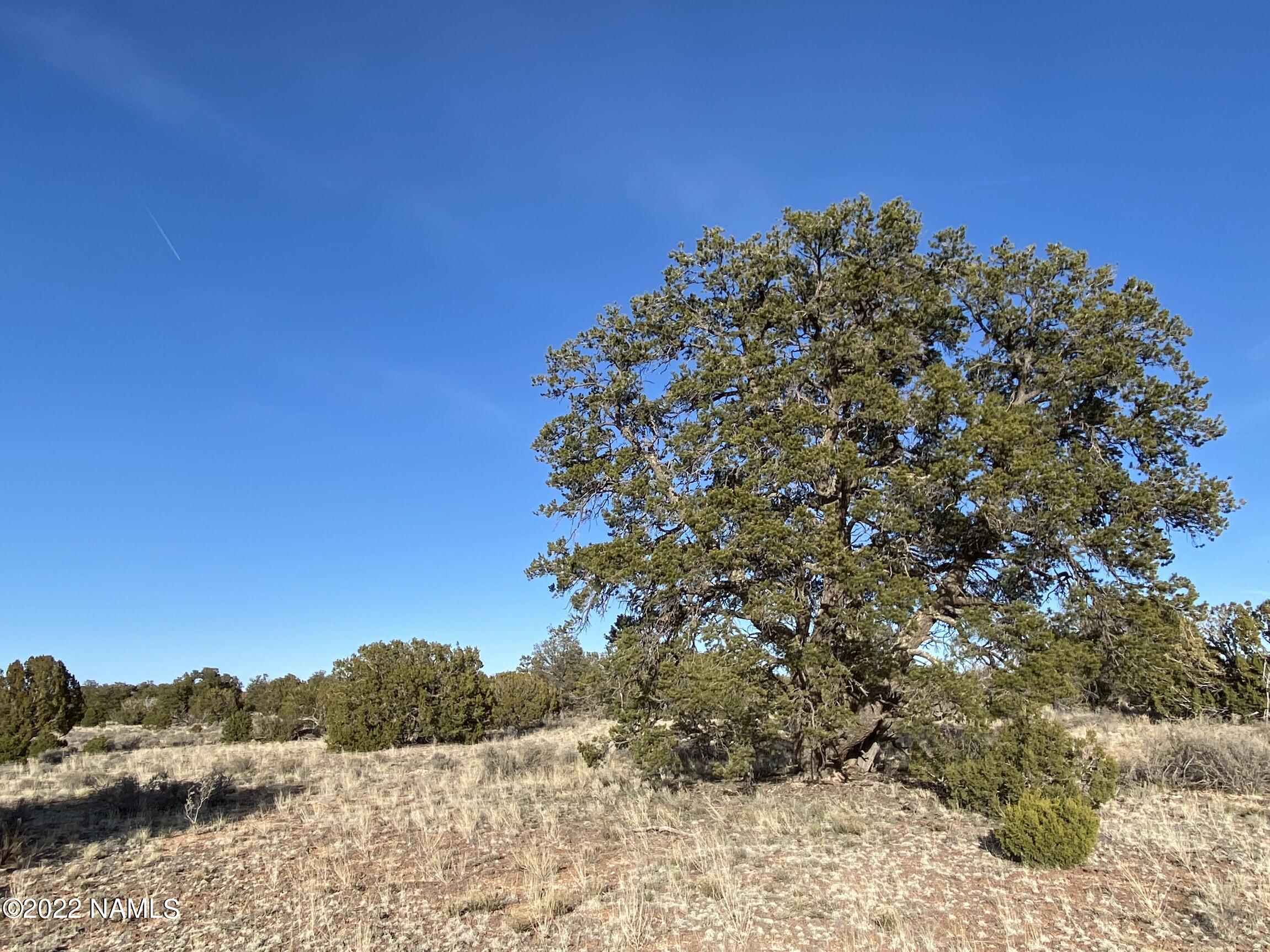 4633 Hidden Ranch Road Williams, AZ 86046 - Photo 31 of 39 4633 N Hidden Ranch Rd Photo 33
