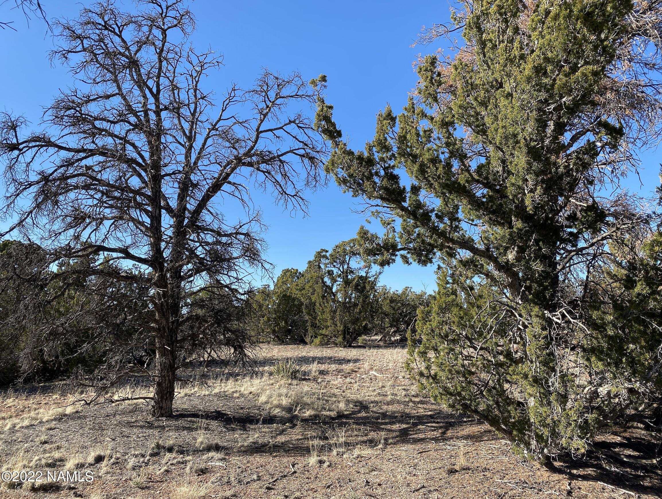 4633 Hidden Ranch Road Williams, AZ 86046 - Photo 32 of 39 4633 N Hidden Ranch Rd Photo 35