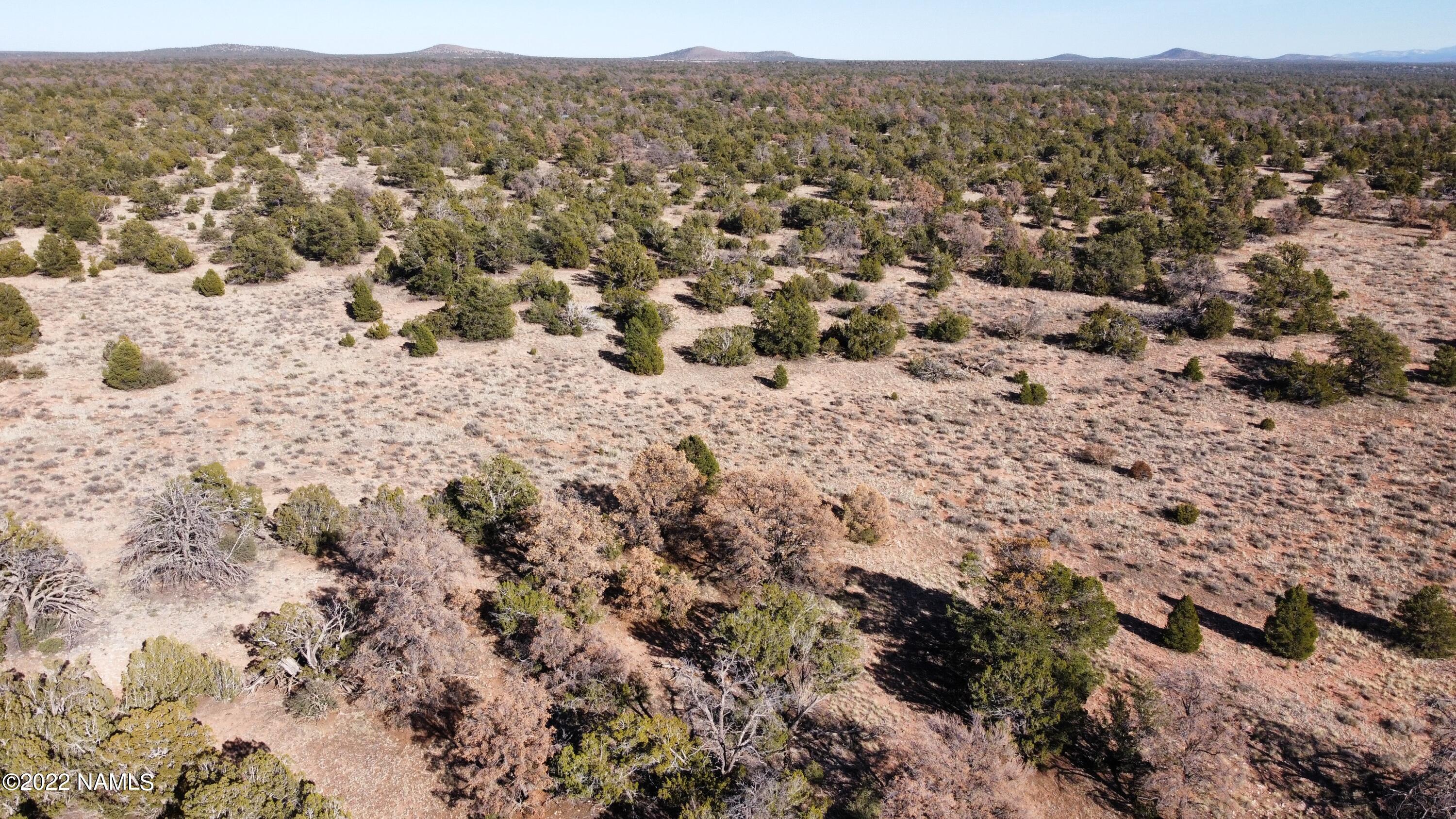 4633 Hidden Ranch Road Williams, AZ 86046 - Photo 4 of 39 4633 N Hidden Ranch Rd Photo 3
