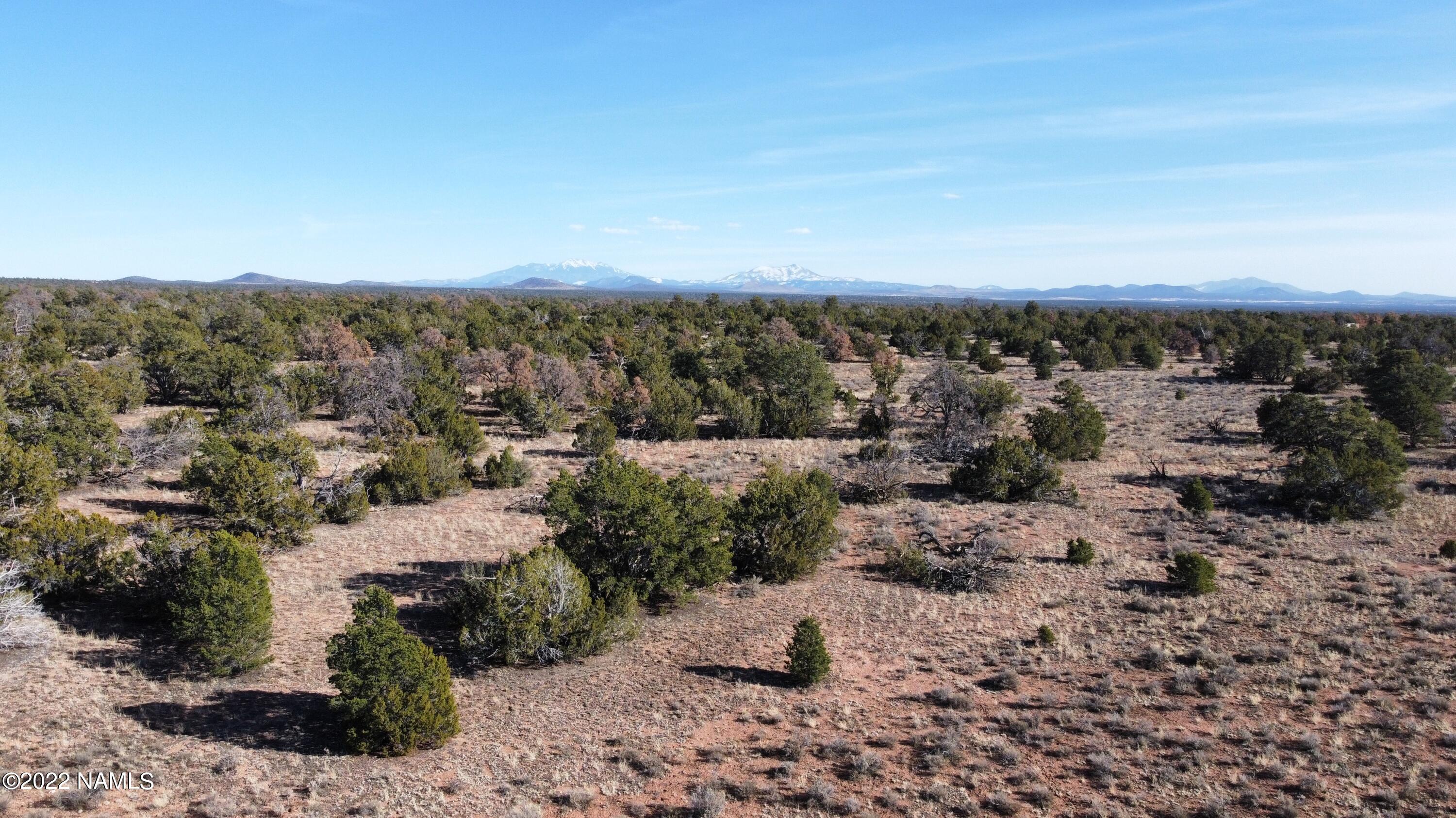 4633 Hidden Ranch Road Williams, AZ 86046 - Photo 10 of 39 4633 N Hidden Ranch Rd Photo 11