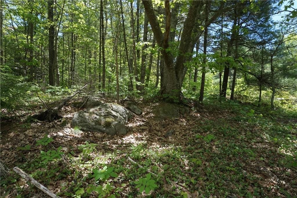 Lot 15 Main Road Phippsburg, ME 04562 - Photo 8 of 12 Photo