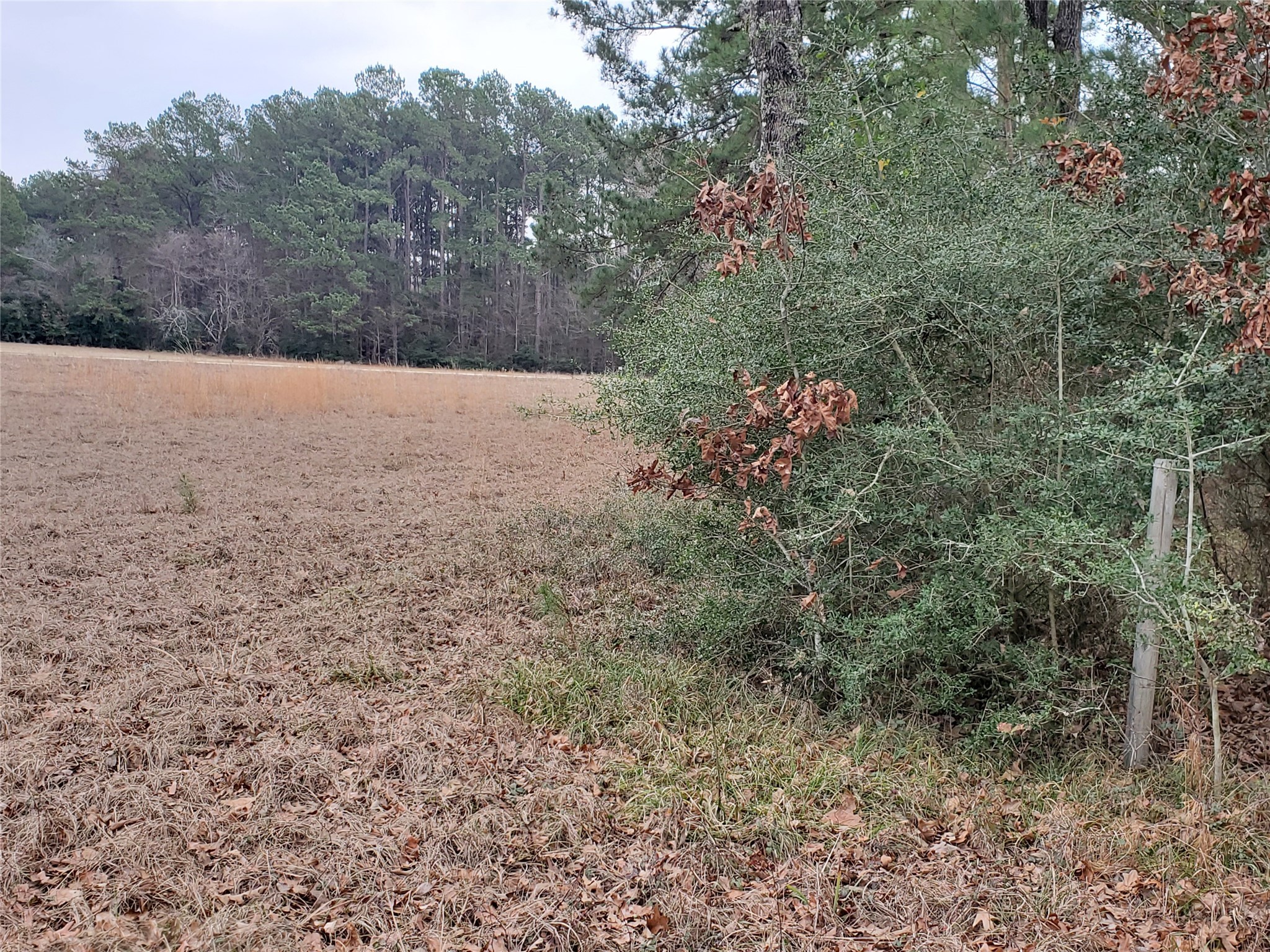 Lot 1-2 Oakley Road Trinity, TX 75862 - Photo 11 of 20