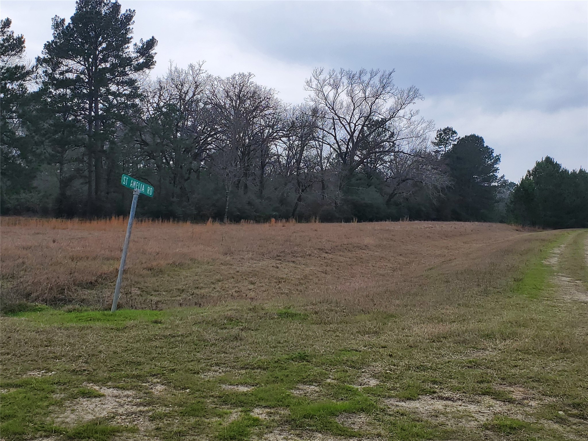 Lot 1-2 Oakley Road Trinity, TX 75862 - Photo 18 of 20