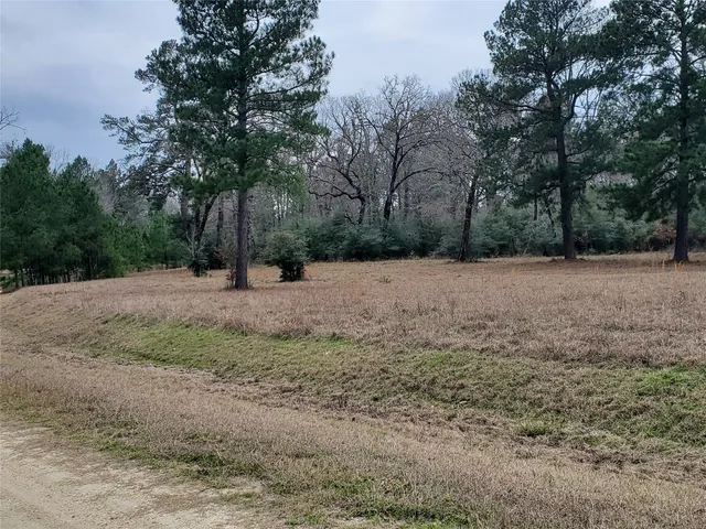 $25,000 | Lot 1-2 Oakley Road, Trinity, TX 75862