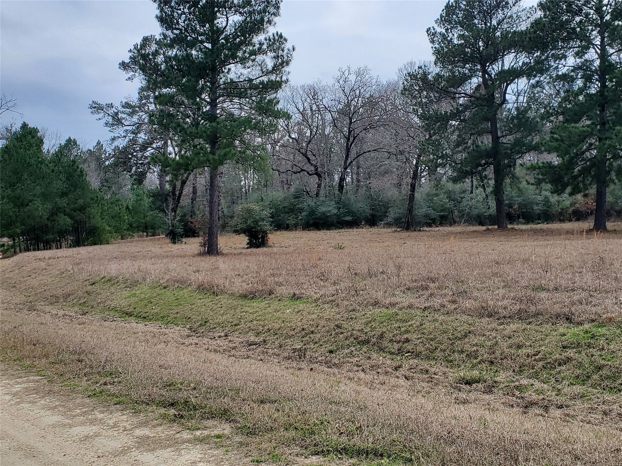 Lot 1-2 Oakley Road Trinity, TX 75862 - Photo 19 of 20