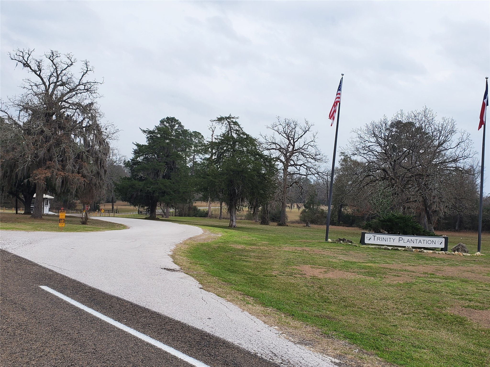 Lot 1-2 Oakley Road Trinity, TX 75862 - Photo 4 of 20