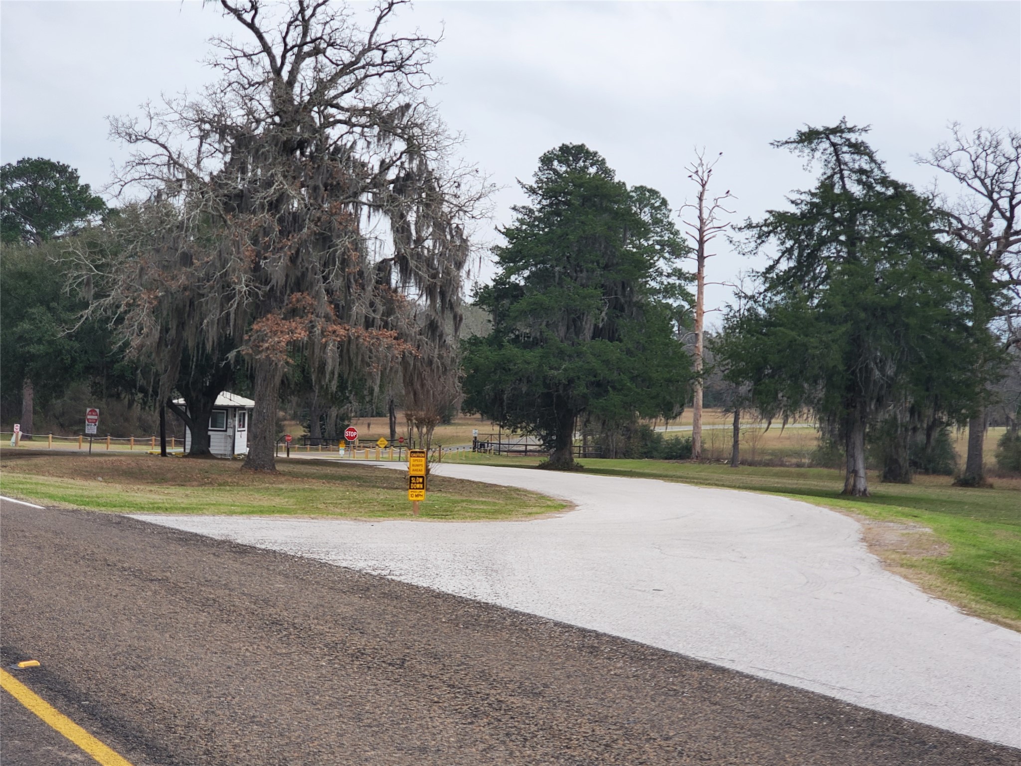 Lot 1-2 Oakley Road Trinity, TX 75862 - Photo 5 of 20