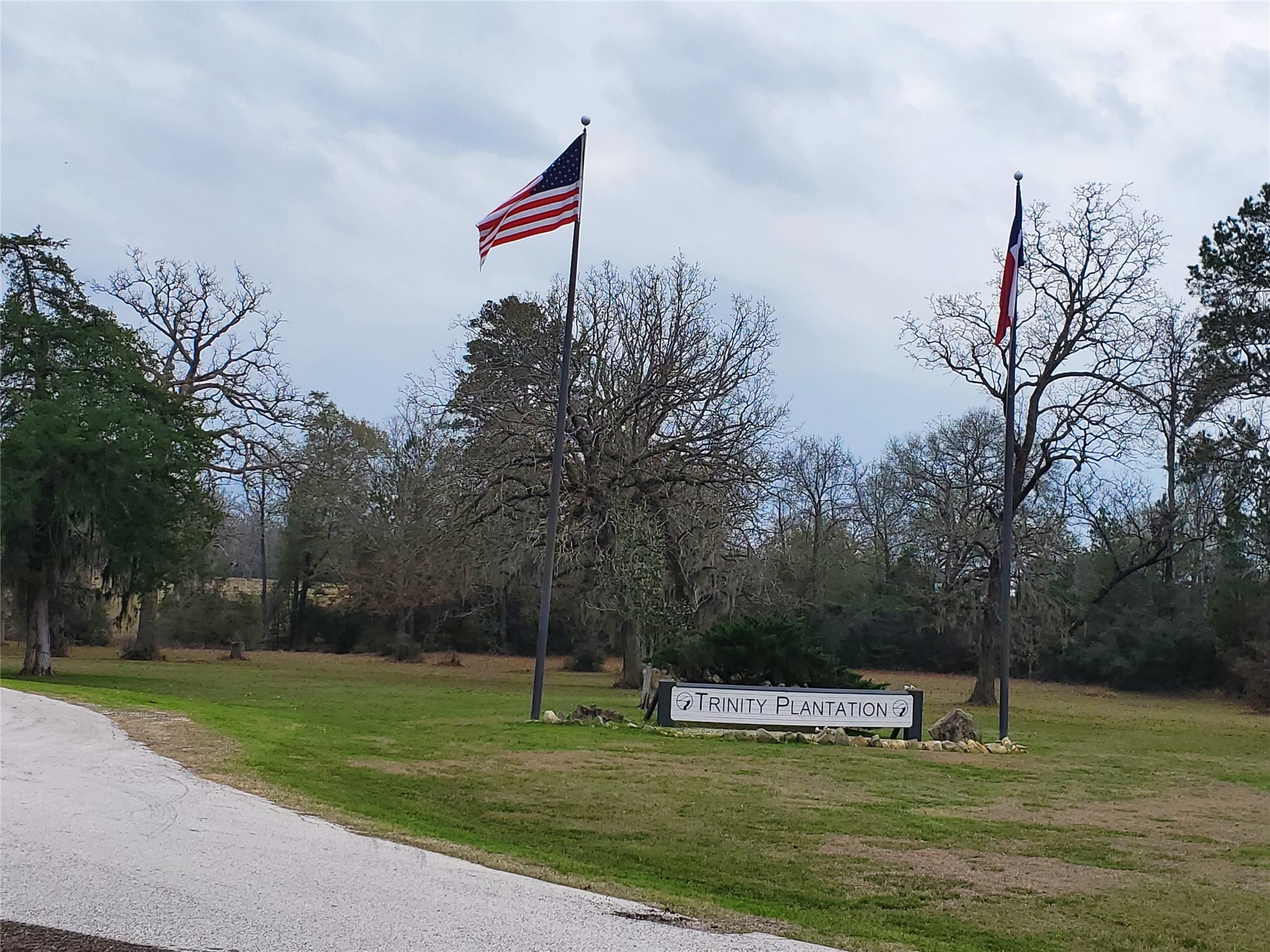 Lot 1-2 Oakley Road Trinity, TX 75862 - Photo 6 of 20