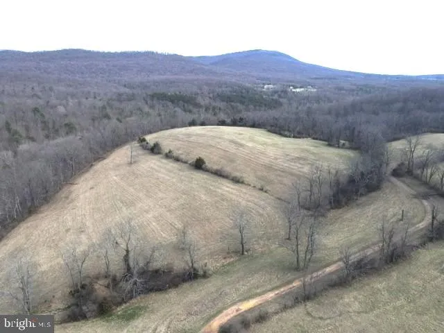 a view of a dry yard