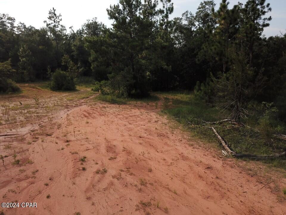 Tbd Chason Road Marianna, FL 32448 - Photo 13 of 16 Gallery Image 13