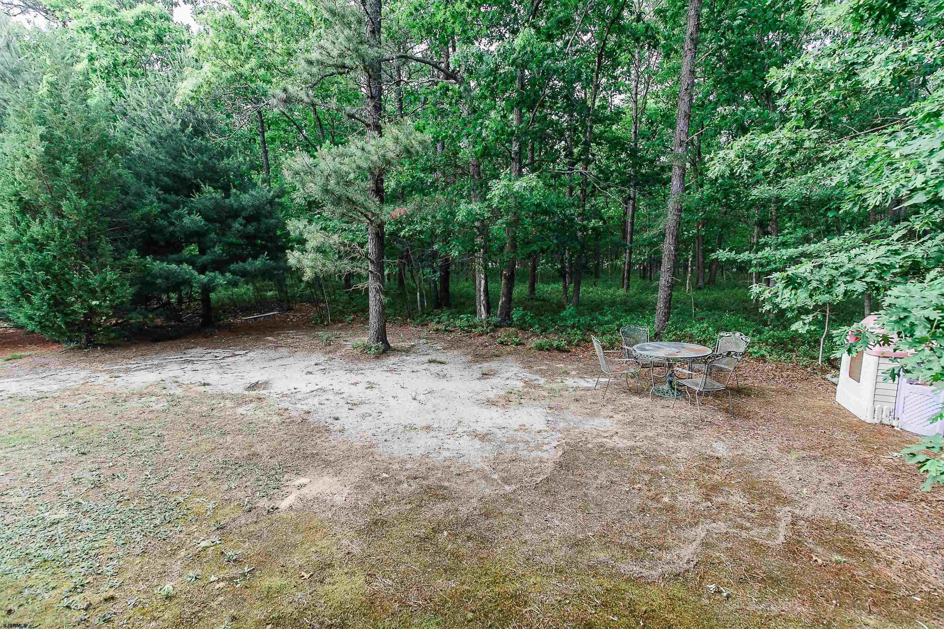 16 Cottage Road Egg Harbor Township, NJ 08234 - Photo 24 of 24 a view of a forest with trees in the background