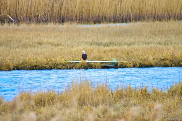 $859,000 | 243 South Dunton Avenue, East Patchogue, NY 11772