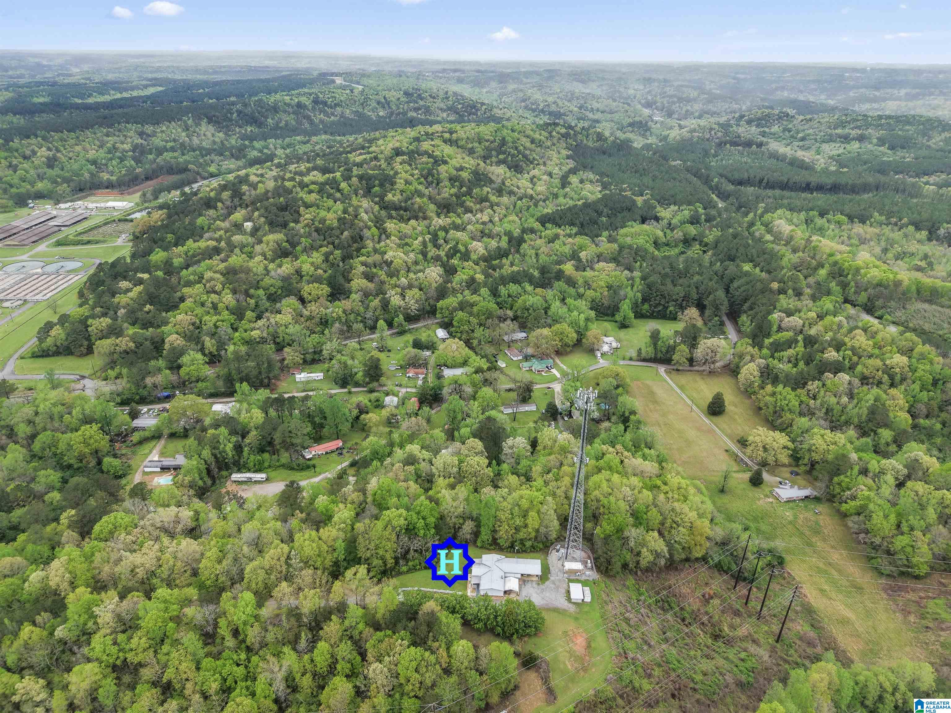 901 Lower Coalburg Road Fultondale, AL 35068 - Photo 34 of 38
