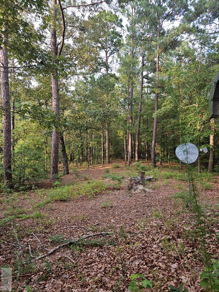 213 Lakeview Road Eastover, SC 29044 - Photo 16 of 17 Gallery Image 16