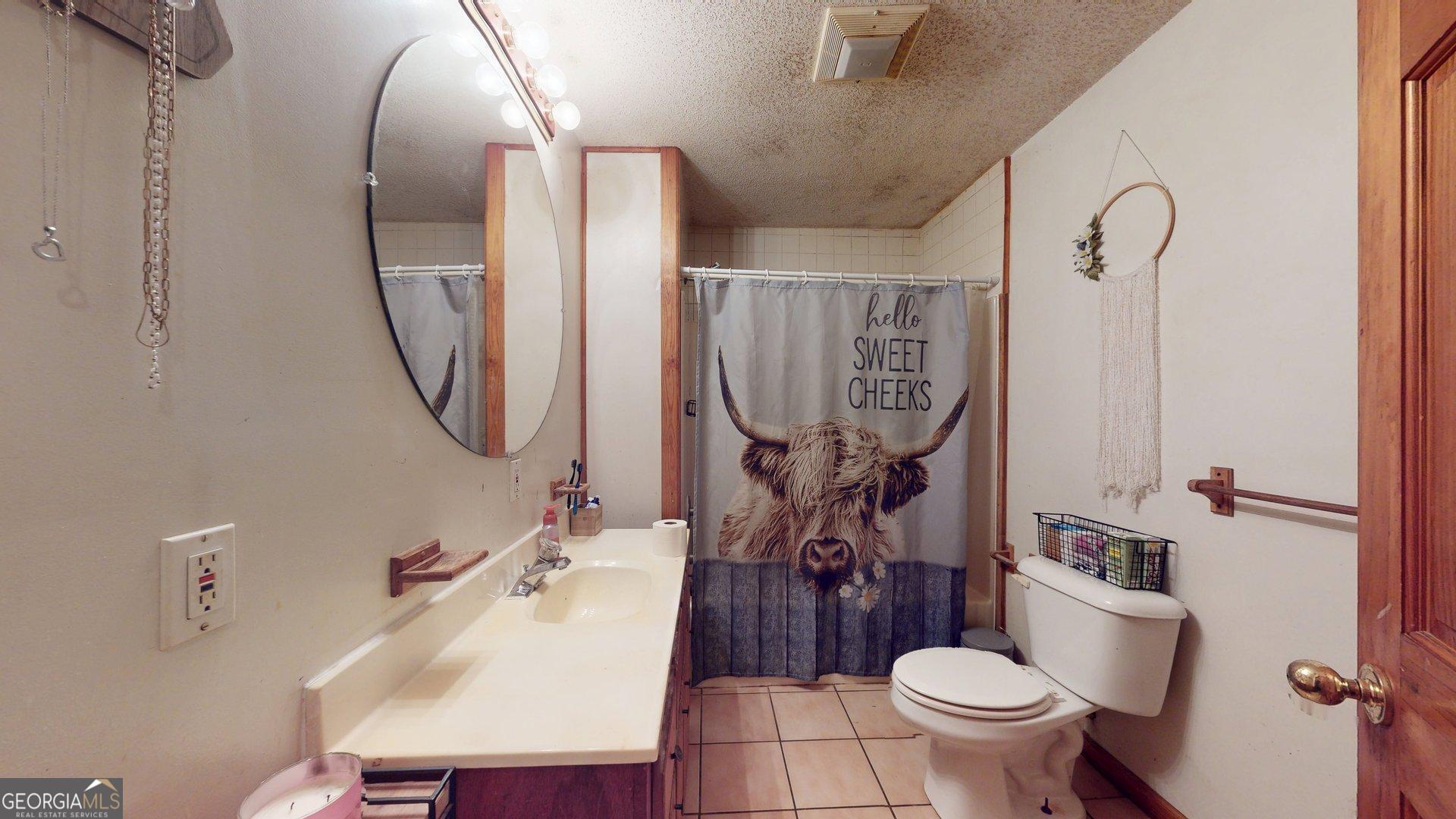 450 Bellevue Plantation Road Millen, GA 30442 - Photo 19 of 25 a bathroom with a toilet sink and mirror