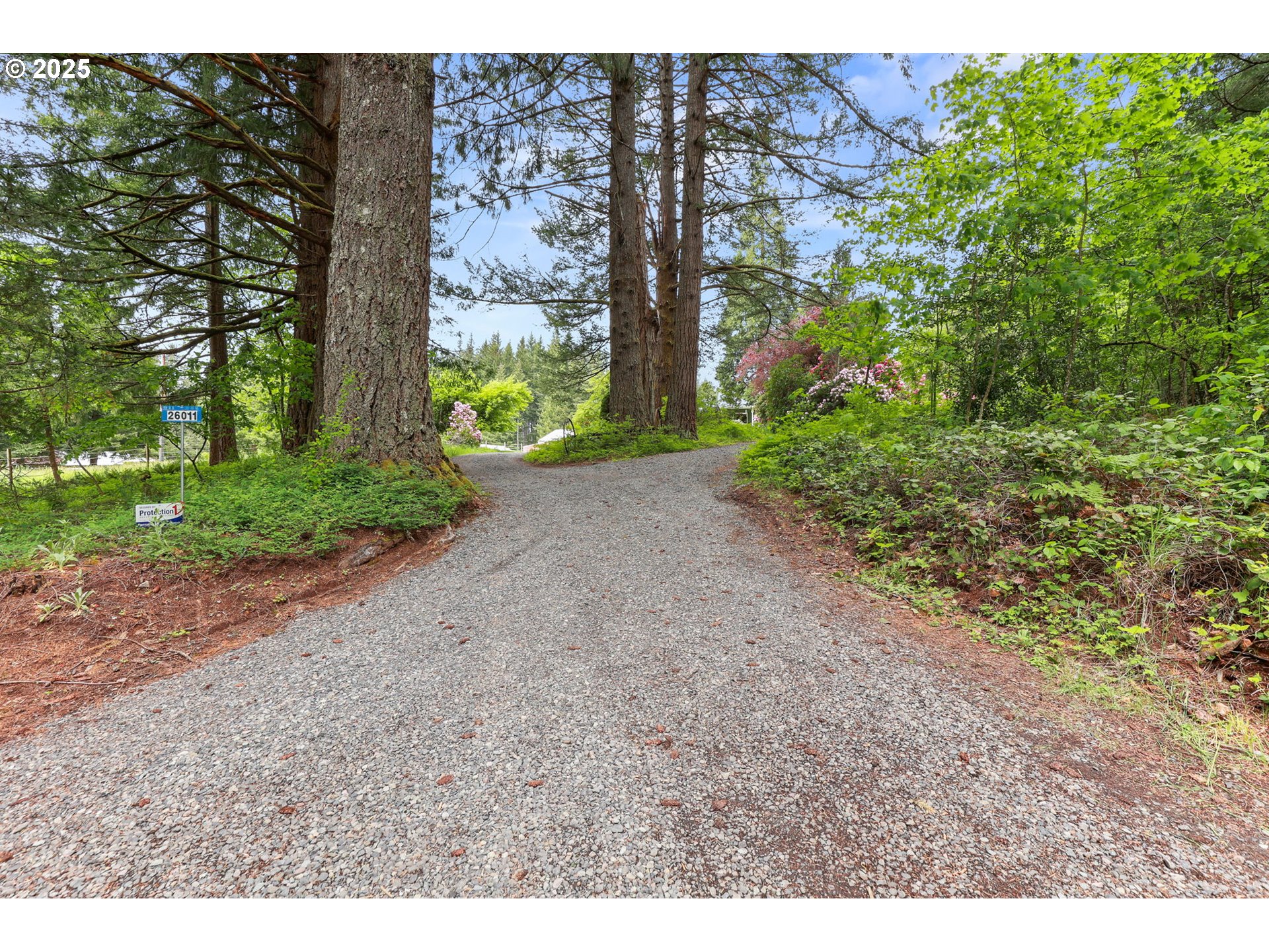 26011 South Morgan Road Estacada, OR 97023 - Photo 29 of 48 a view of a yard with plants and large trees
