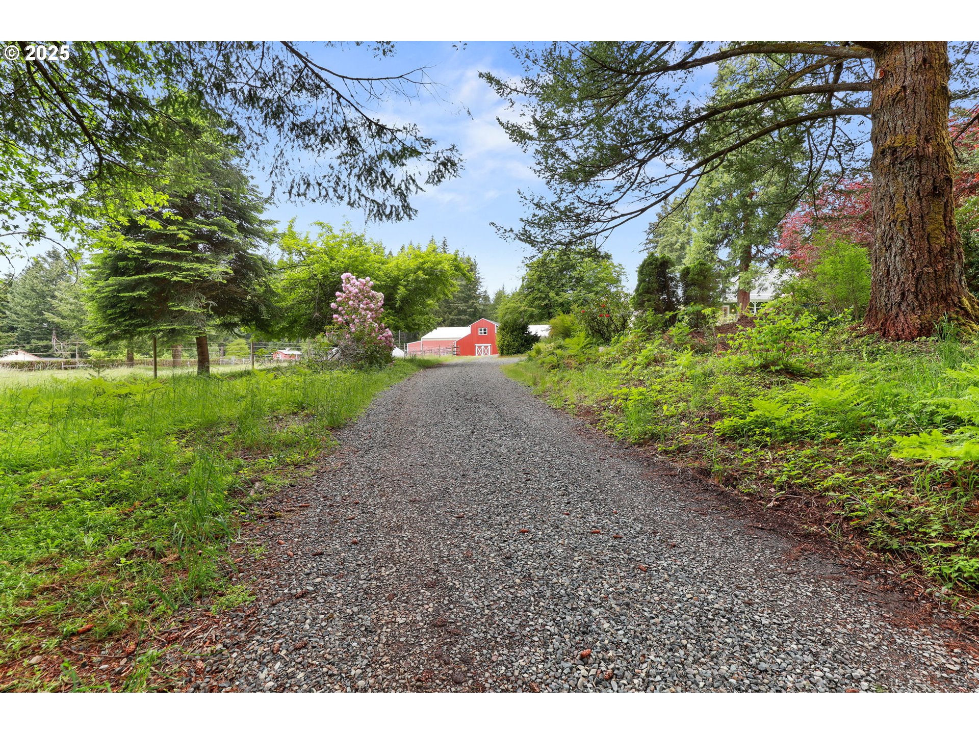 26011 South Morgan Road Estacada, OR 97023 - Photo 30 of 48 a view of a yard with a tree